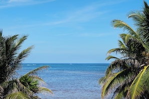 A beach view with palm trees and calm sea.