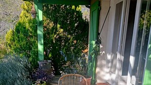 A covered patio area with wicker furniture, potted plants, and a birdhouse.