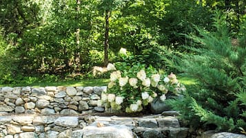 Àrea exterior de l'allotjament