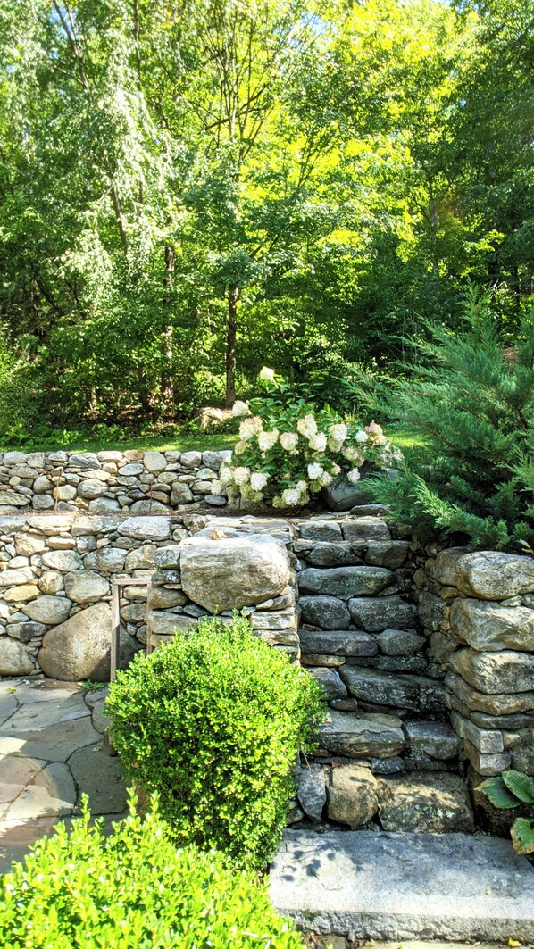 Terrain de l’hébergement