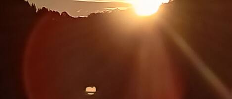 Asciugamani, sapone, carta igienica