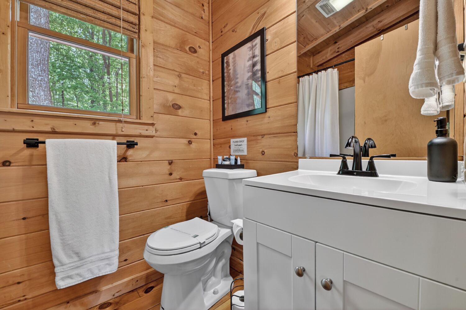 Eco-friendly toiletries, hair dryer, towels, soap
