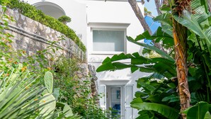 A stone pathway leading to a white building with a door, surrounded by lush tropical plants and a stone wall.