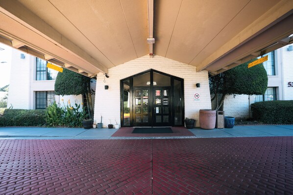 A building entrance with a red brick pathway, a black door, and potted plants on either side.