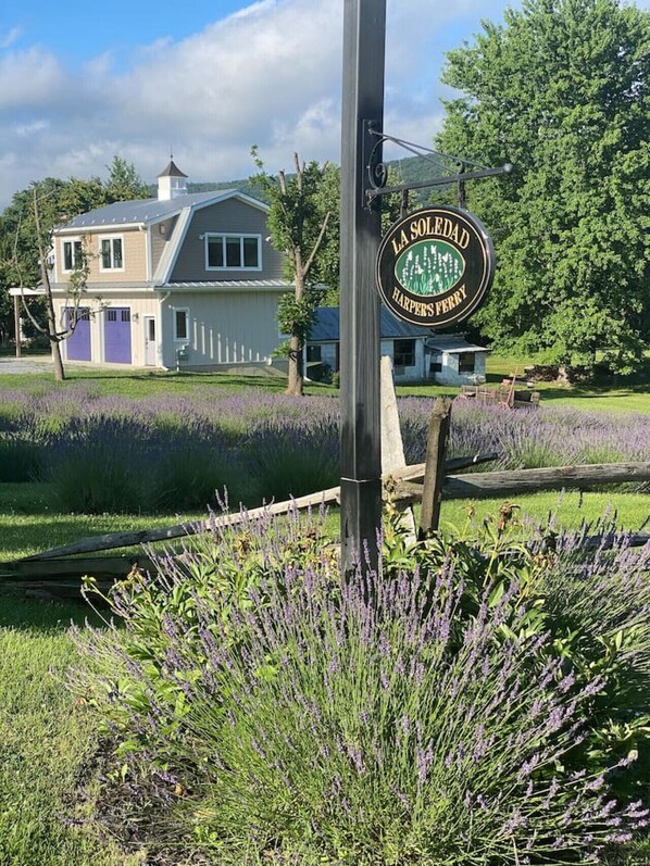 A sign for La Soledad Harper's Ferry, a two-story building with a garage, surrounded by lavender fields and a wooden fence. - Riverview Suite at La Soledad (Harpers Ferry)