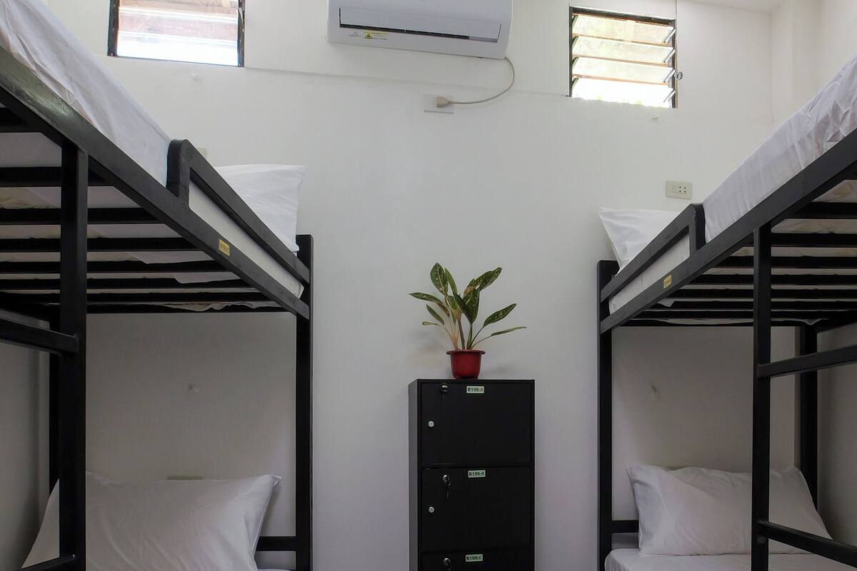 A dormitory room with bunk beds, a potted plant, and a black filing cabinet.