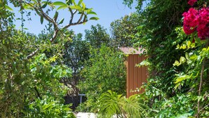 Un sendero de jardín bordeado de abundante vegetación y plantas en flor, que conduce a una estructura de madera.