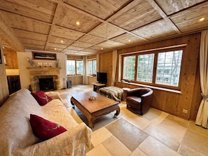 TV connectée, cheminée, jeux vidéo, livres