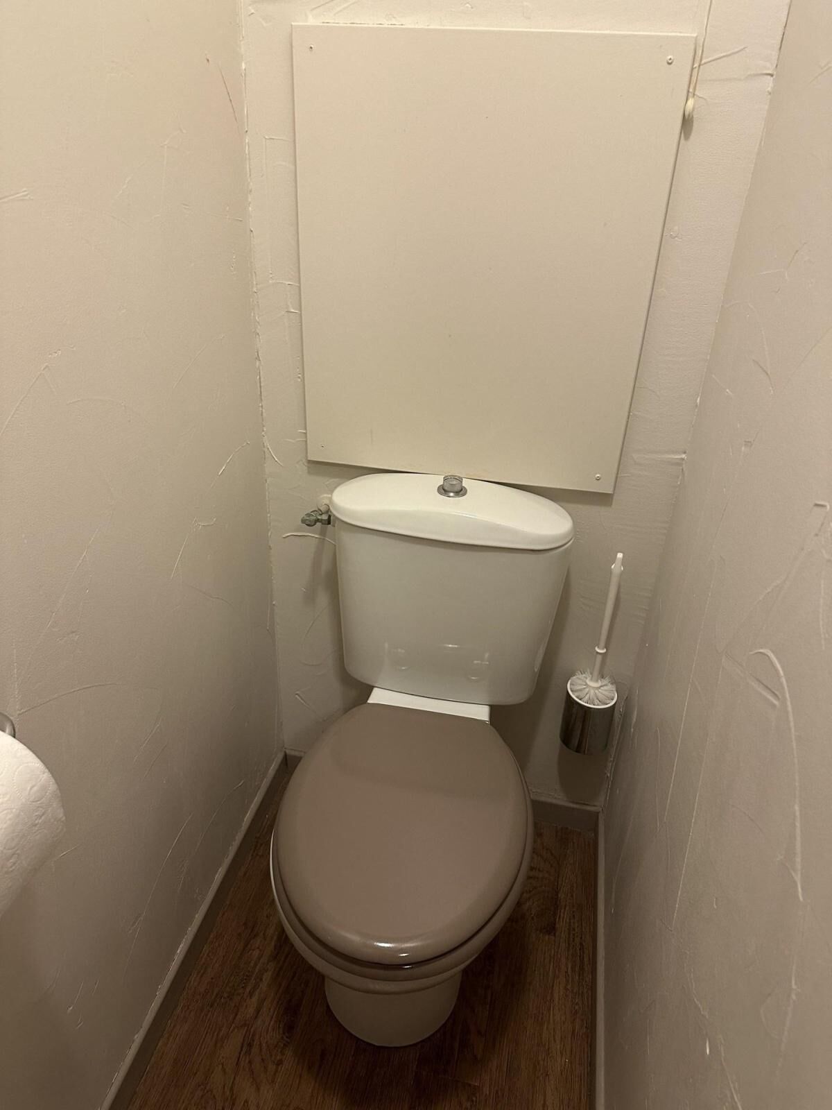 A small, narrow bathroom with a toilet, a toilet brush, and a towel hanging on the wall.