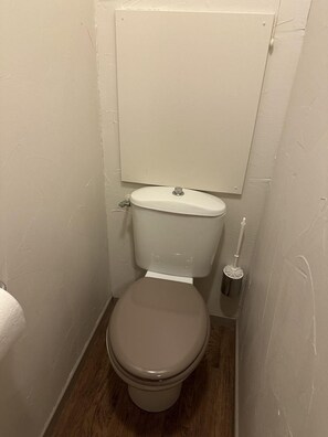 A small, compact bathroom with a toilet, a visible toilet paper holder, and a cleaning brush. - 2nd floor, swimming pool, balcony, parking, tv, ski locker, 42m², Vars (Vars)