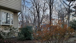 A residential area with a house, a stone pathway, and leaf-covered ground.