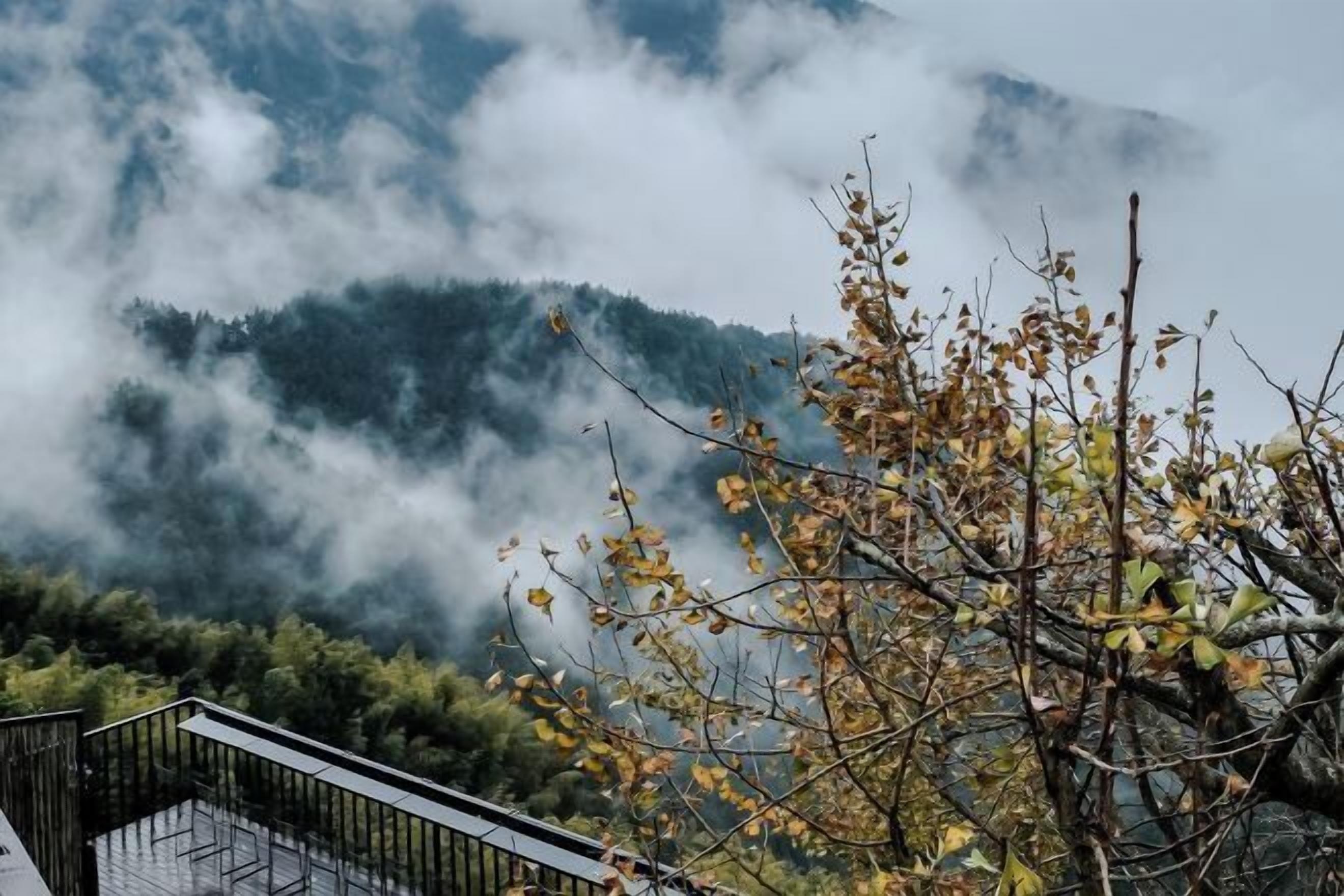 Un paysage montagneux avec une terrasse en bois et un arbre aux feuilles d’automne.