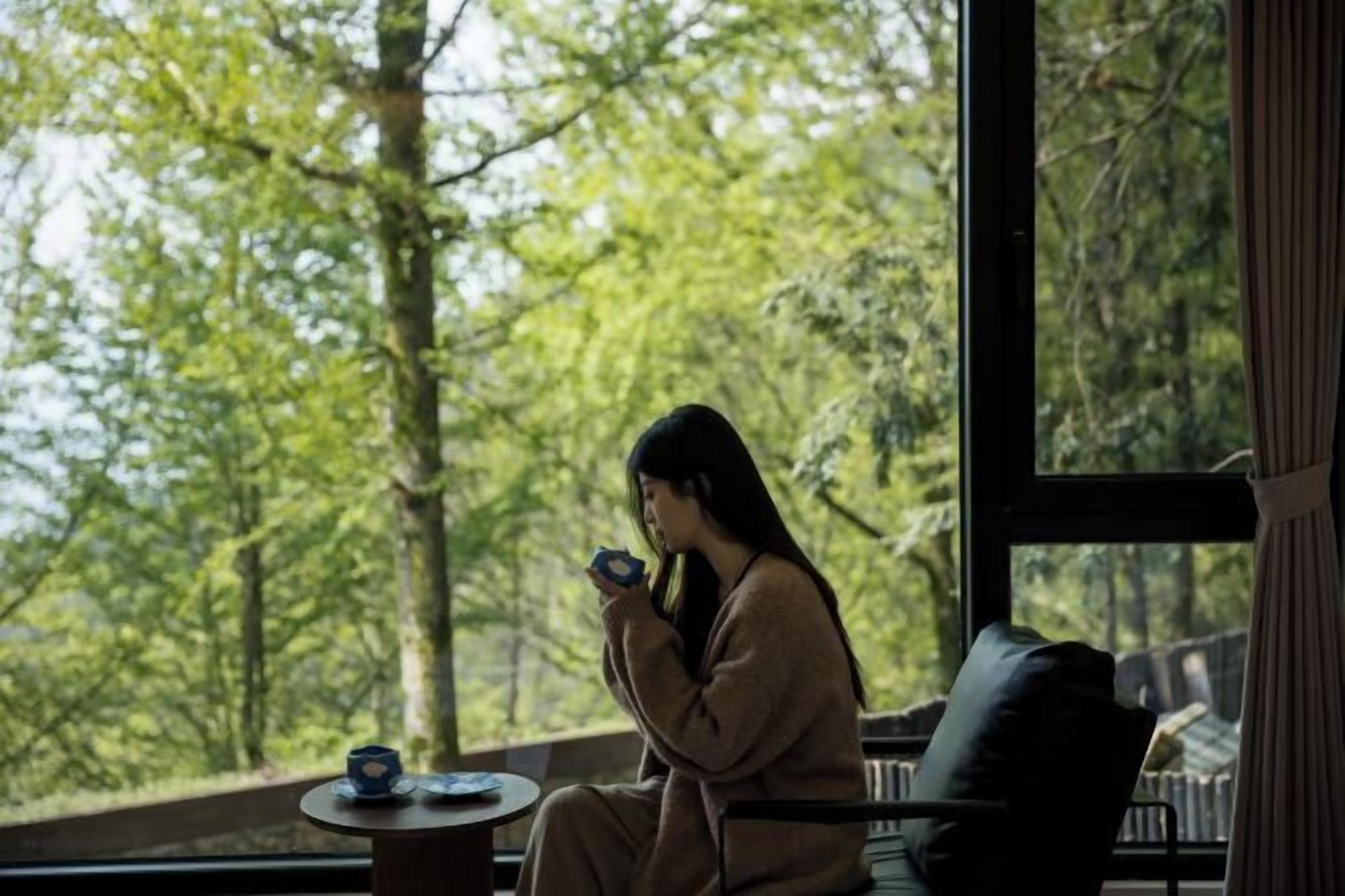 الإطلالة من المنشأة