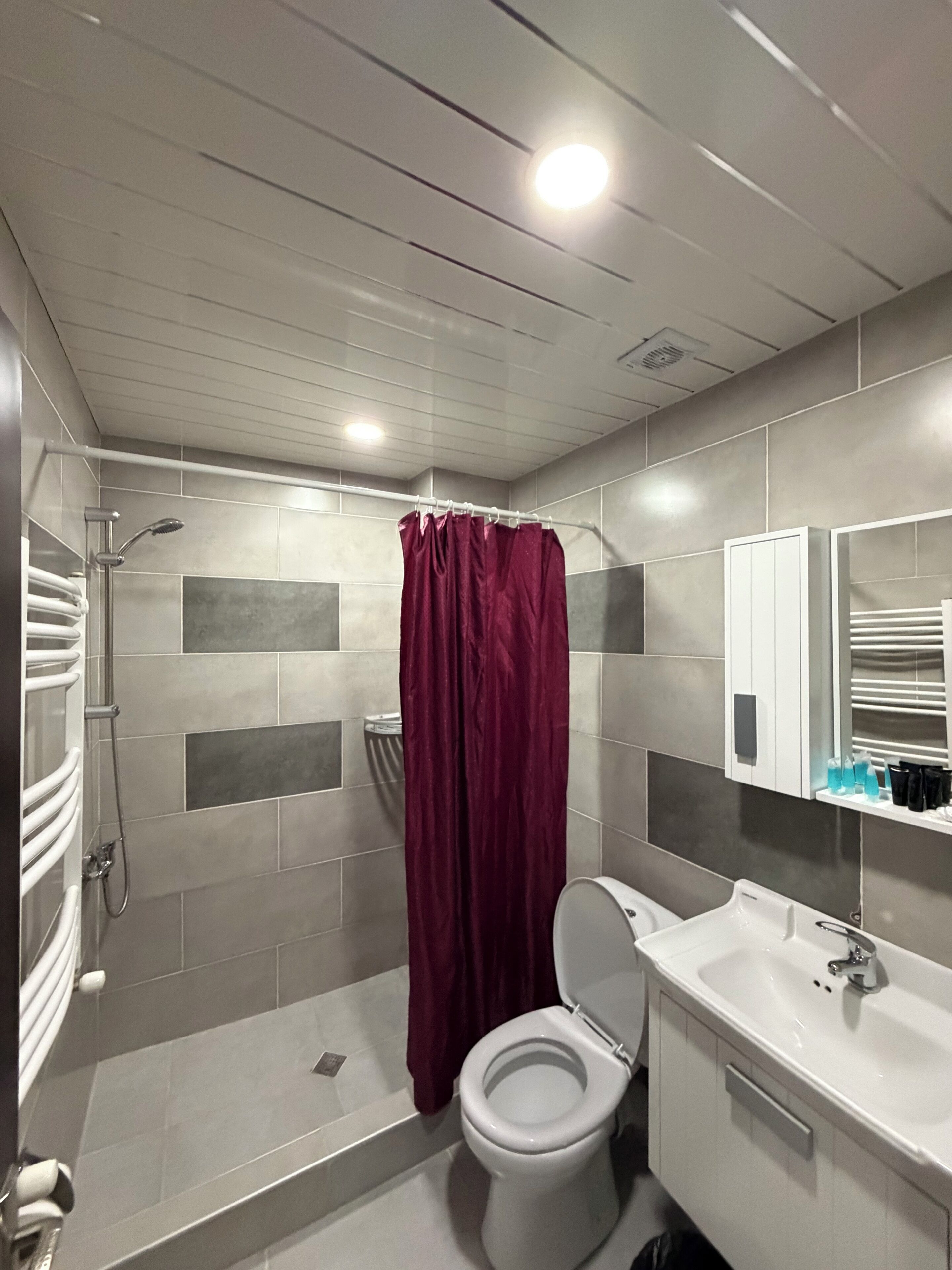 Un baño con ducha, inodoro y lavamanos.