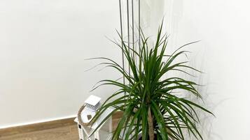 Apartment, 2 Bedrooms, Accessible | 3 bedrooms