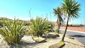 A landscaped area with various plants and a palm tree, a paved walkway, and a road with vehicles in the background. - Seaside beach themed home with garden and driveway (Lytham St Annes)