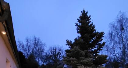 Villa Neuve à Louer Durant les JO