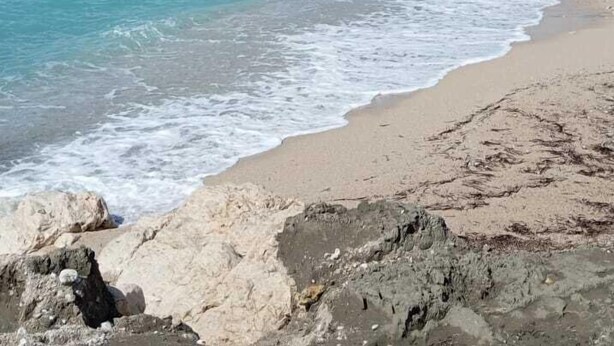 Beach nearby - Lux Apartmani Djukic (Bar)