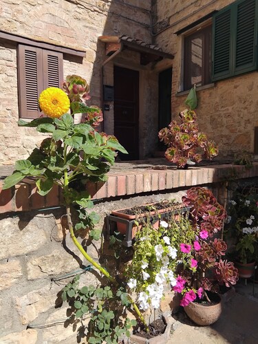 Appartamento Ideale per Famiglie