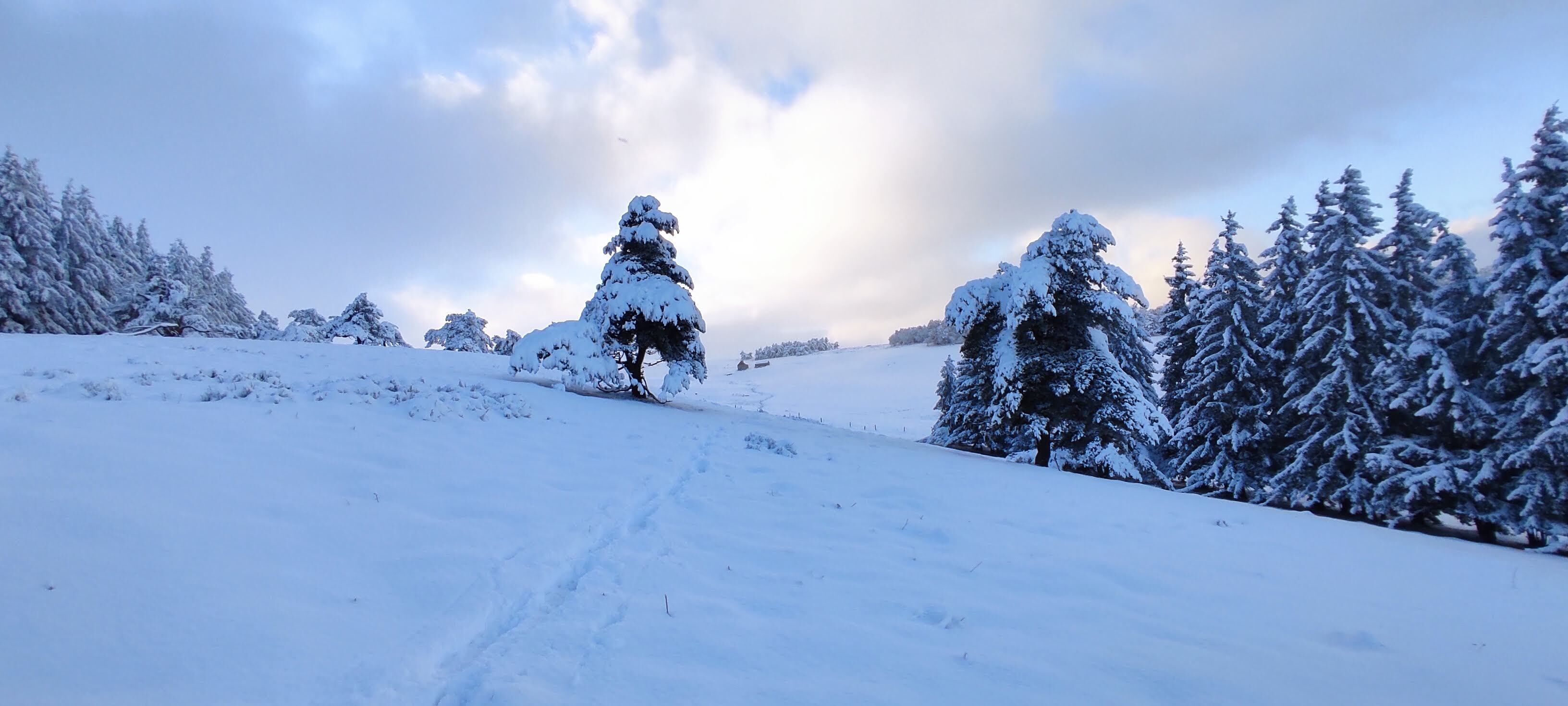 Snow and ski sports