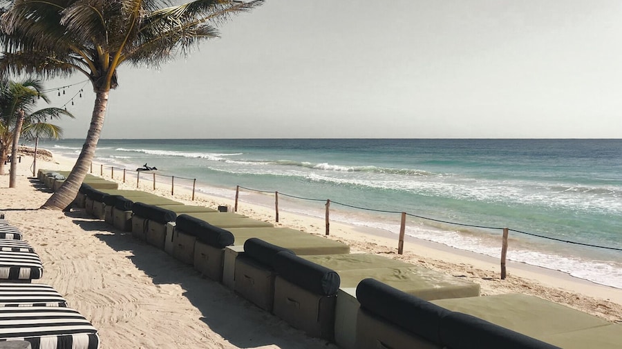 Suites Panamera