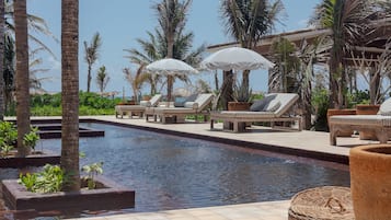 A pool area with lounge chairs and umbrellas, surrounded by palm trees and greenery.
