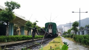 Un tren sobre rieles con un vagón verde, rodeado de vegetación y edificios.
