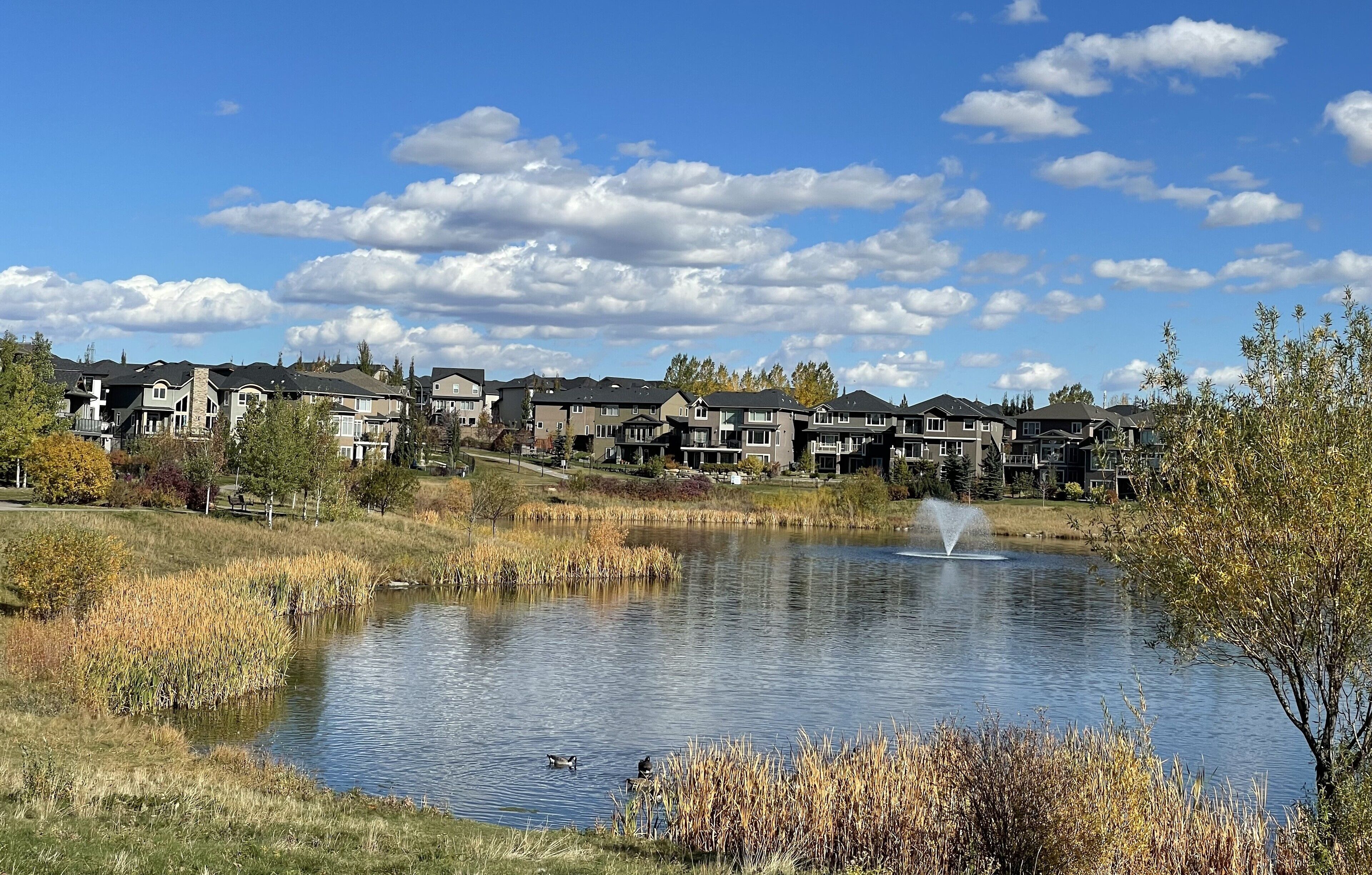A residential area with houses, a pond, and a fountain.