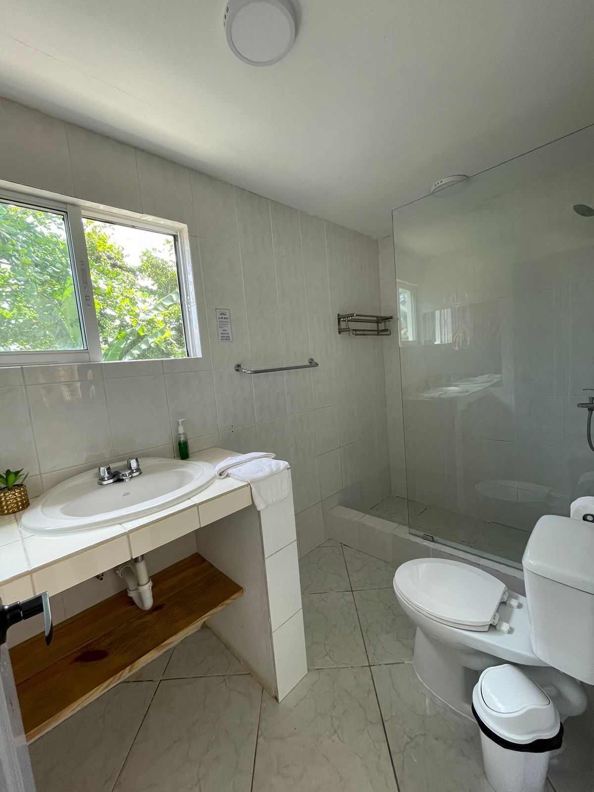Une salle de bain moderne avec une douche à parois de verre, un lavabo blanc doté d’un plan de toilette en bois et des toilettes.