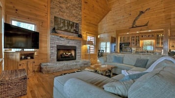 Télévision, cheminée, livres, espaces bureaux