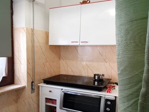 Compact kitchen area with an oven, induction cooktop, and coffee maker.