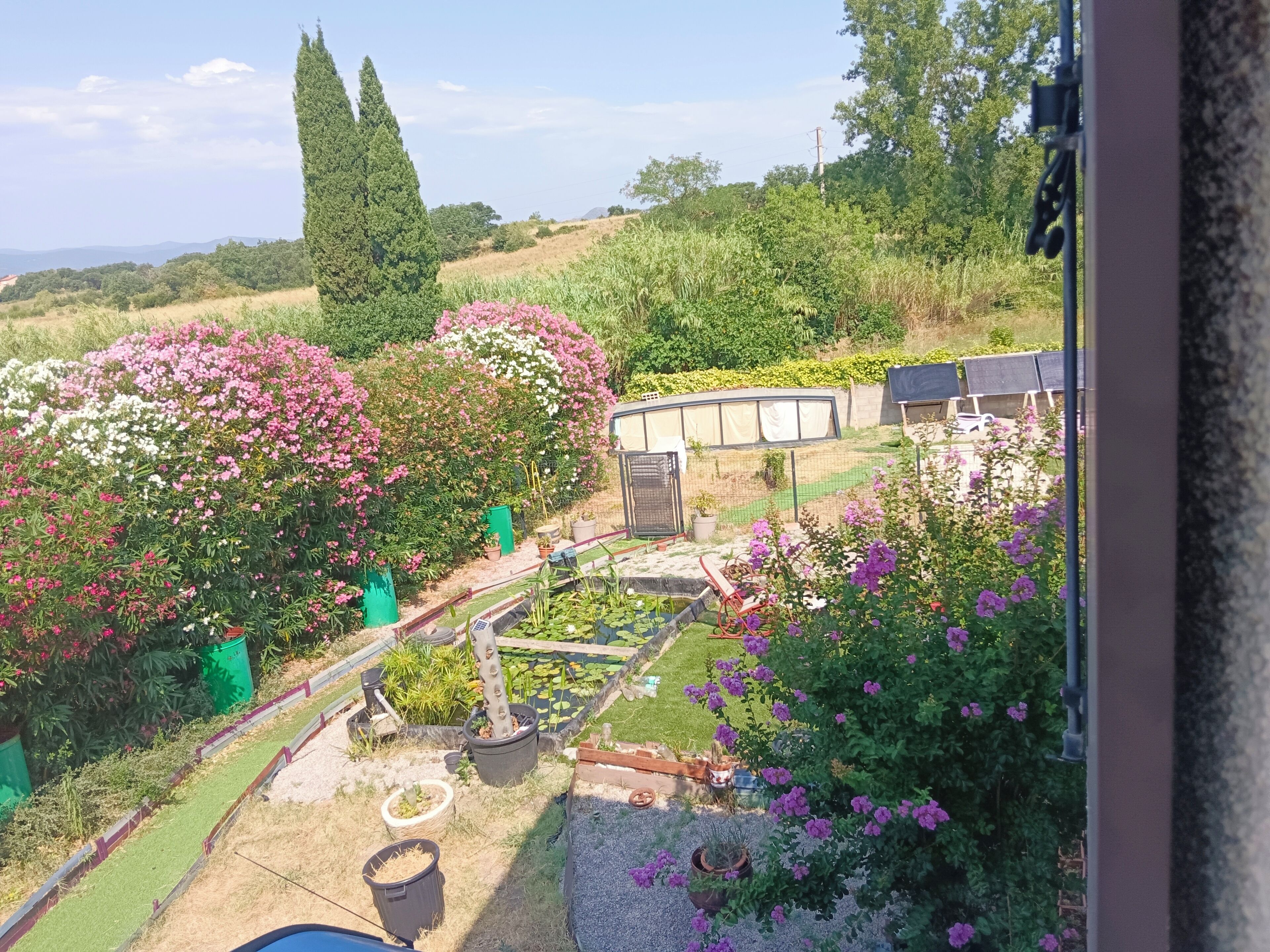 A garden with various plants and flowers, a greenhouse, and a solar panel array.