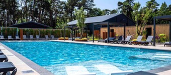 Chalet by Park Pond in the Netherlands