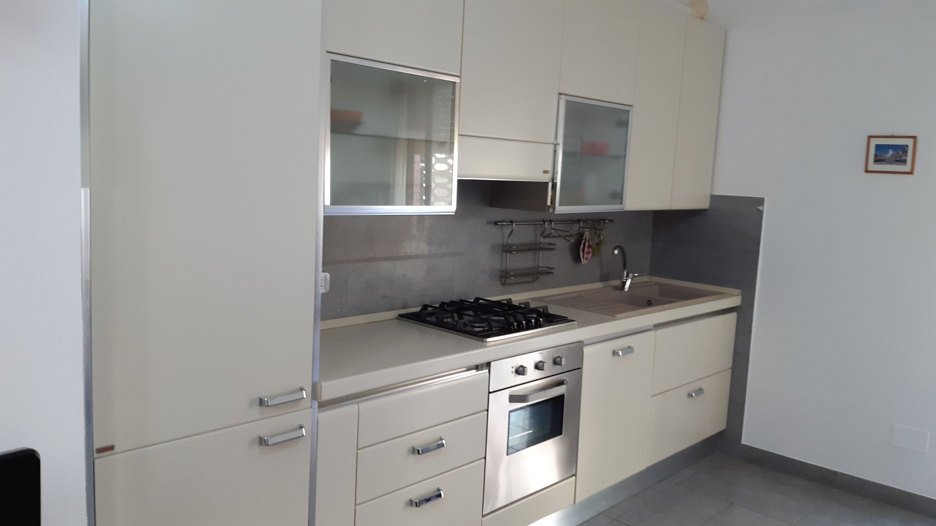 Fridge, oven, dishwasher, cookware/dishes/utensils