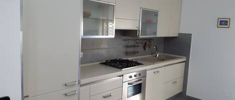 Fridge, oven, dishwasher, cookware/dishes/utensils