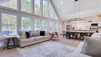 Smart TV, fireplace, DVD player, video library