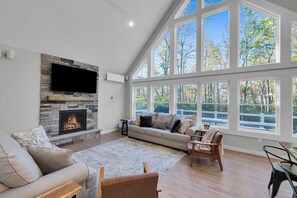 Smart TV, fireplace, DVD player, video library