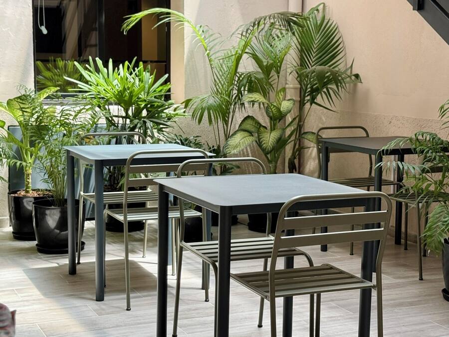 Terraza o patio