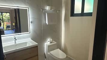 Shower, towels, soap, toilet paper