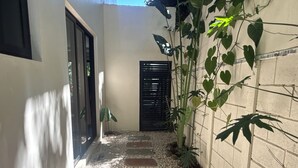 Un sentier étroit bordé de pierres plates, un mur percé d’une fenêtre et une plante aux feuilles en forme de cœur.