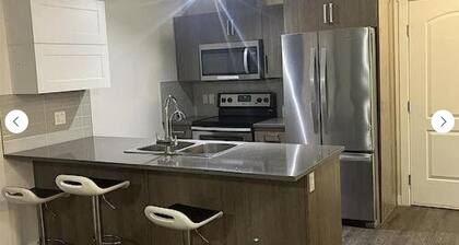 20 minutes to Airport - 2 bedrooms 2 bath - marble titled bed rooms