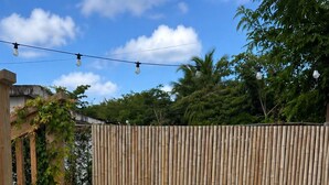 A rectangular swimming pool with a bamboo fence, surrounded by greenery.