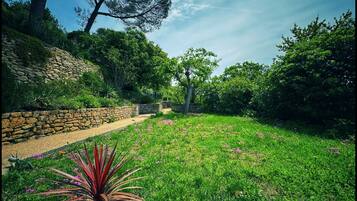 Terrein van de accommodatie