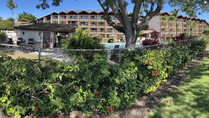 Un hotel con varios balcones, piscina y un jardín cuidado con flores rojas.