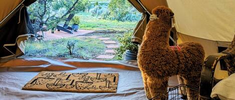 1 habitación, wifi y ropa de cama