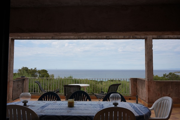 Vue depuis la terrasse