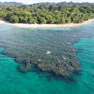 102 - Beachfront Cozy Room Down Town Puerto Viejo