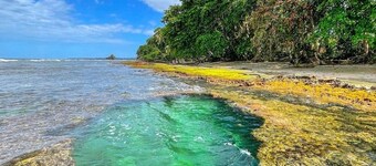 104 - Beachfront Cozy Room Down Town Puerto Viejo