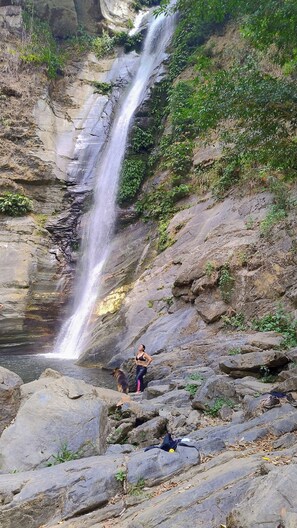 Property grounds - Tiny House en la Sierra Nevada de Santa Marta. Paraíso de la Sierra (Minca)