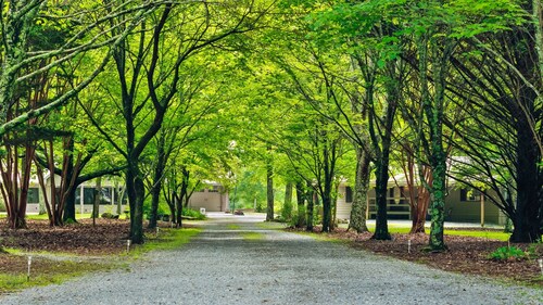 Faith Family Farmhouse | Guest Cottage | Farm | Fire Pit | WiFi | Dog Friendly